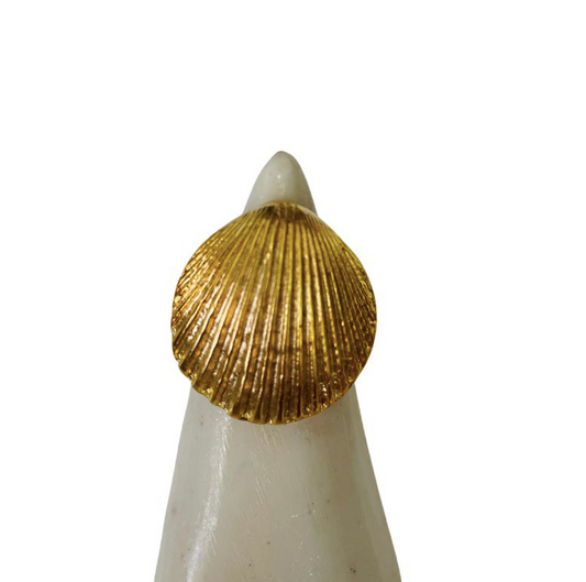 Anillo mar
